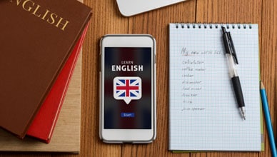 english_education_skills_needed