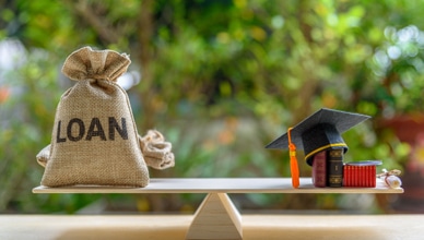 international_business_bachelors_degree_cost