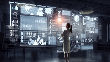 political_science_program_software_skill_needed