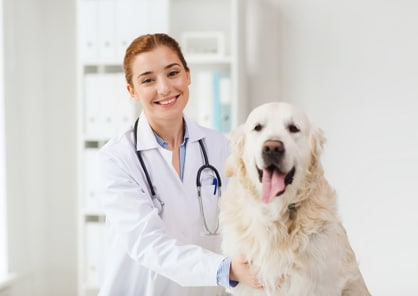 components_of_a_successful_veterinary_tech