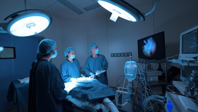 veterinary_tech_skills_needed