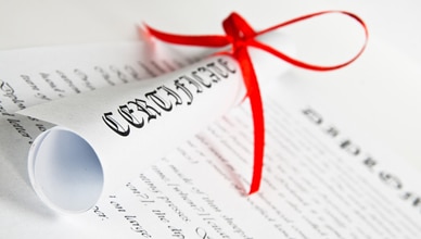 writing_standards_degree