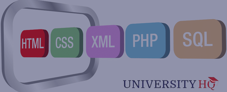 what coding skills will you learn